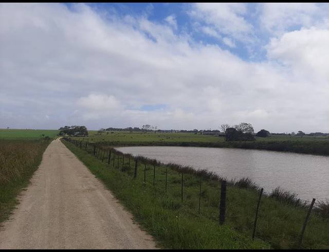 FARM FOR SALE IN GROOT BRAKRIVIER RURAL